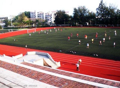 1739540610612537.jpg t01f65090686713fe9b.jpg