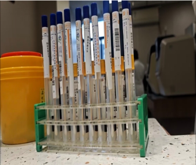 1769764491132808.png 6.png