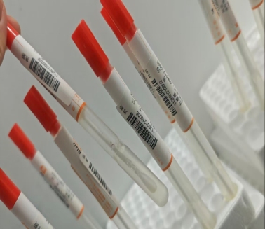 1769764498918692.png 7.png